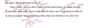 reading errors 2nd grade