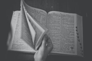 dictionary vocabulary