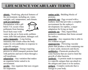vocabulary example