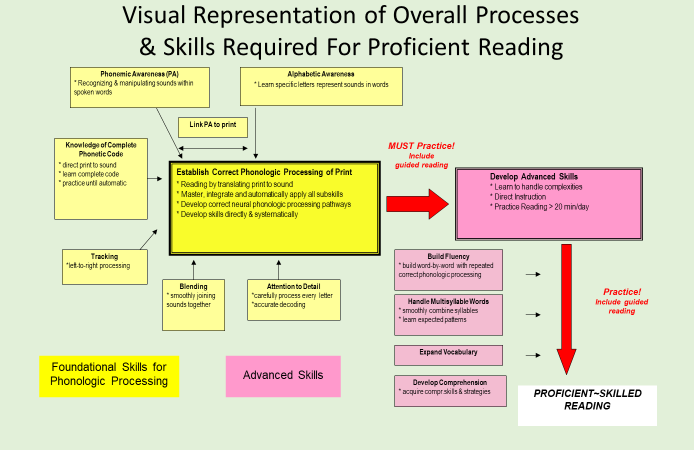visual overview process proficient reading