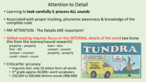 attention to detail in reading explained