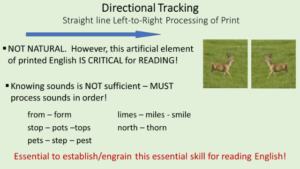 teach directional tracking in reading