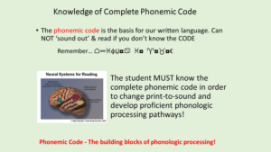 knowledge of the complete phonemic code