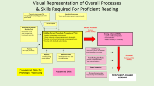 visual overview process skills necessary for proficient reading